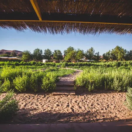Eco-Lodge El Andinista