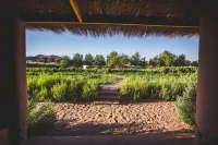 Eco-Lodge El Andinista - Mountain view