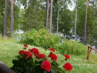 Kettupirtti Hotels in Juva