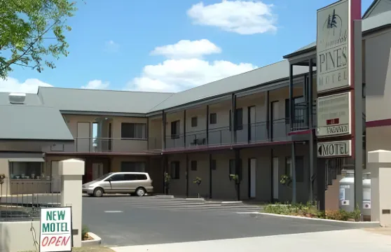 阿米代爾松樹汽車旅館