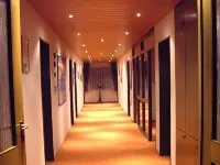 Hotel Garni Jägerhof Hotels in Altheim