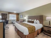 Best Western Inn of Brenham Hotels in Brenham
