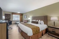 布倫漢姆貝斯特韋斯特飯店