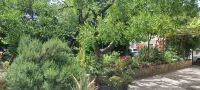 A Charming Oasis in the City Heart 2