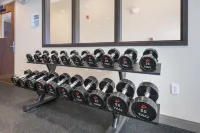 Holiday Inn Express & Suites BELGRADE by IHG - Træningscentre