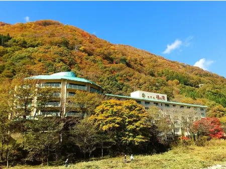 Hotel Yu-No-Jin Отели рядом с достопримечательностью «Takaragawa Onsen»