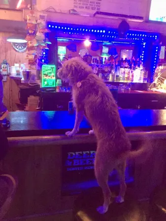 ★ Church House ★UNIQUE 2bd converted historic Wallace chapel, walk to everything