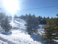 3 Bed 2 Bath cabin nestled in the pines between Leadville and Turquoise Lake.