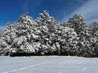 Cabin at House Mountain-Entire Cabin, Stunning View