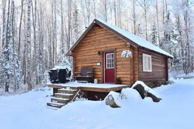 Comfy Cabin Nestled in the Woods