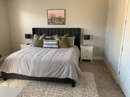 Ocotillo Springs #15