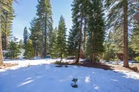 Timberlake Haven / Newly remodeled mountain retreat- 4 blocks from Lake Tahoe! Hoteles en Tahoe Vista