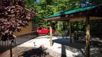 Petoskey - Quaint Cabin in a secluded wooded setting.