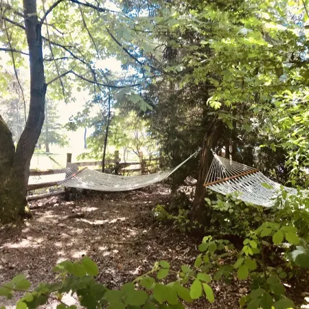 On a 40 acre estate, outdoor soaking tub,  fire pit, hammocks, pet friendly!