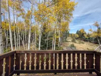 Mountain Chalet Tucked in Aspen Grove with Mountain Views