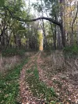 Private Wooded Retreat close to Cornell