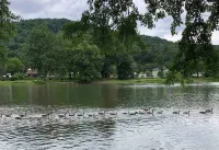 The River's Edge - Rare find along The Allegheny River 3 bedroom/ 1 1/2 bath