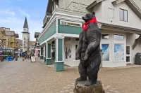 Two bedroom Condo With Mountain View And Fireplace