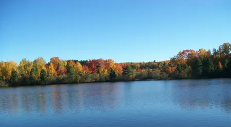 New Build Perch Cabin - Northwinds Adventures
