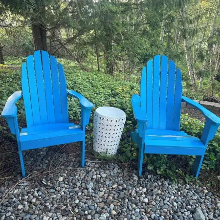 Chateau du mont Rainier - a basement apartment w a view of Mt Rainier & hot tub