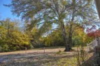 Central Retreat C, NEW Family and Pet Friendly 윌슨 카운티 호텔