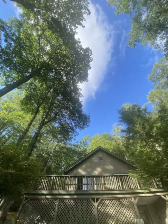 Peaceful Family-Friendly Sunapee Lake/Ski Retreat