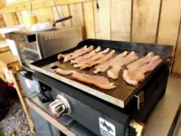 Glamping Tiny Home near Center Hill Lake