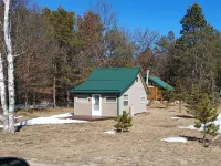 Tiny Cabin in Huron National Forest! Hotels in Oscoda County