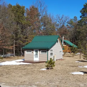 Tiny Cabin in Huron National Forest!