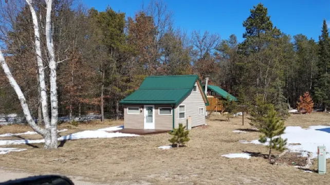 Tiny Cabin in Huron National Forest!