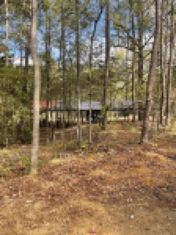 Pickwick cabin near stateline boat ramp.  2 bed 2 full bath.   Boat storage
