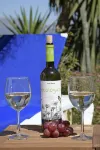 Villa Roble, 8 Pers, Heated Pool, Wifi, BBQ, Petfriendly, magnific view