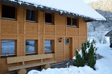 Modern Apartment of directly to the Feldberg ski lifts Отели в г. Тодтнау