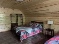 Fantastic Cabin in Willow, Sleeps 3! Full kitchen and bathroom!