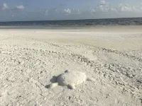 Luxury condo steps away from Siesta Key public beach - Private Pools