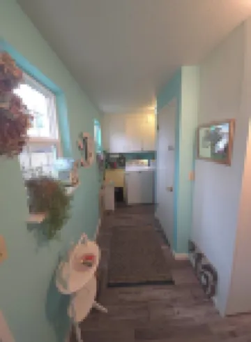 PRIVATE and PEACEFUL living unit, with a view of Mt. Rainier. Close to downtown.