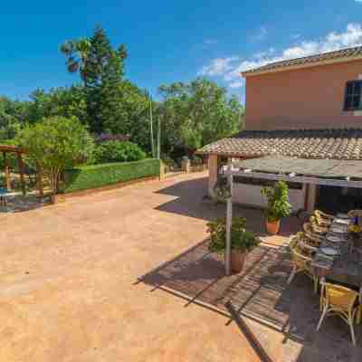 PILI - Wonderful villa with private pool amidst the fields. Free WiFi Hotel Exterior