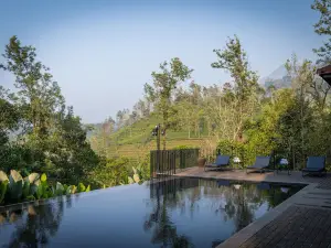 Flora Vythiri Resort