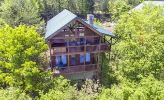 Ern859 - Absolute Paradise - Great Location! Close to All the Action! Cabin