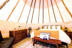 Yellowstone Tipis