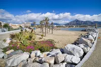 Sunny Zoco Calahonda - Happy Rentals