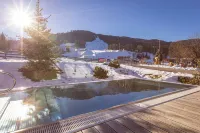Kreischberg Pool Villas & Penthouses by Alps Resorts - Виллы