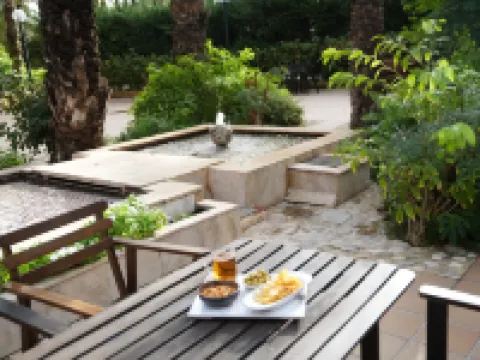 Port Jardín Milenio Hotels in Elche