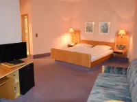 Hotel Grüner Baum Hotels in Naila