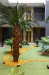 Inn House Loft Spa Hotels in Ankara