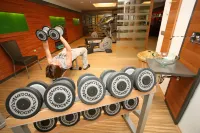 Hotel Lac Salin Spa & Mountain Resort - Gym
