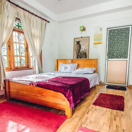 Hamadhi Guest