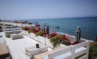Hotel Venere