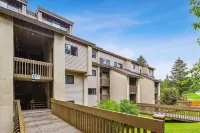 Cozy Kitchen and Gas Fireplace with Balcony - Charming Ski Retreat