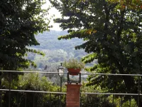 Casa Serafina tipico trilocale zona storica verde